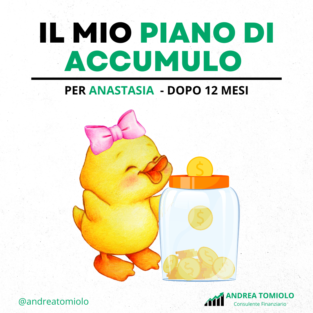 IL MIO PIANO DI ACCUMULO PER ANASTASIA – DOPO 12 MESI